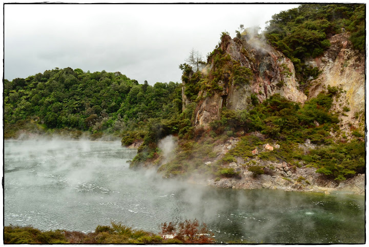 Te Ika ā Maui (Nueva Zelanda isla Norte) - Blogs de Nueva Zelanda - Thermal Explorer Highway (16)