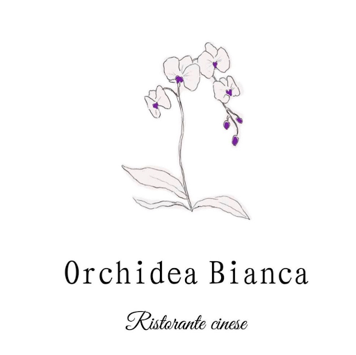 Orchidea Bianca logo