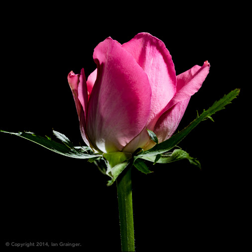 posted image