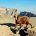 Wadi Ghul - czyli wielki kanion