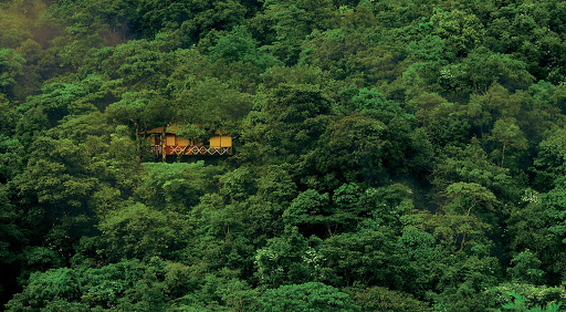 Vythiri Resort