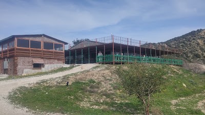 Photos of Teko's Placeturtle Beach