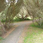 Foot path on the Owens Walkway near Cain St in Redhead (390803)