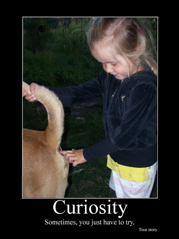 Kids And Curiosity
