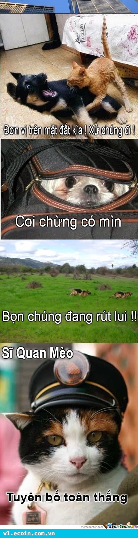 Cuộc chiến chó mèo