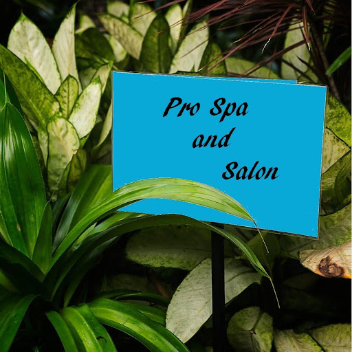 Pro Spa and Salon