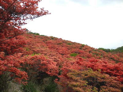 Photos of Katsuragi Kogen Lodge