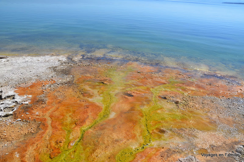 yellowstone