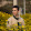 Charles Edouard Charles Edouard's profile photo