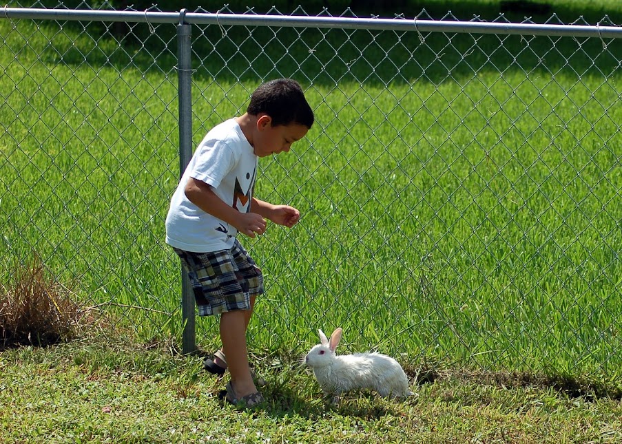 Happy Easter.... 2011-08-22+Playing+with+Bunnies+019