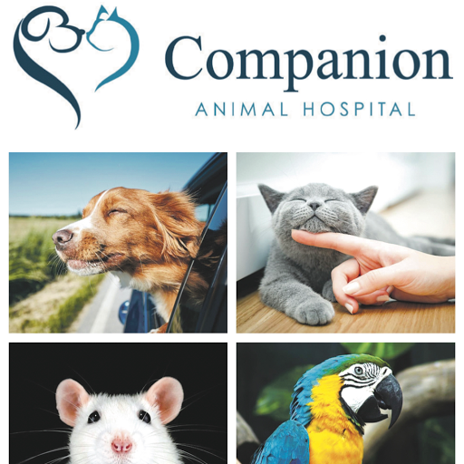 Companion Animal Hospital - CA