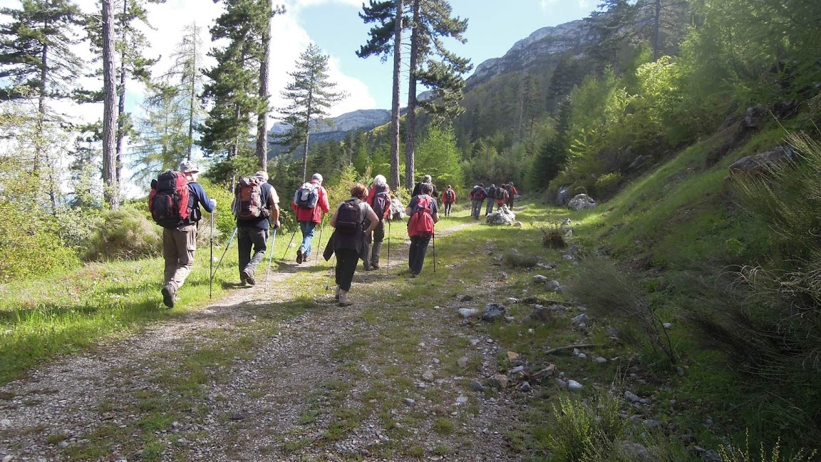 rando des Dourbes le 30 Mai 2013 DSCN2831