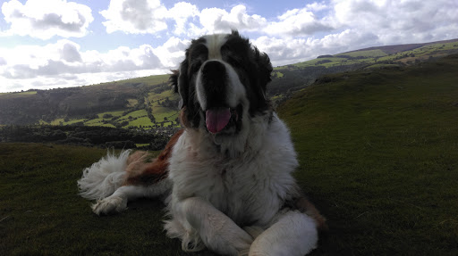 Castell Dinas Bran