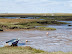 Brancaster Manor and Scolt Head Island National Nature Reserve