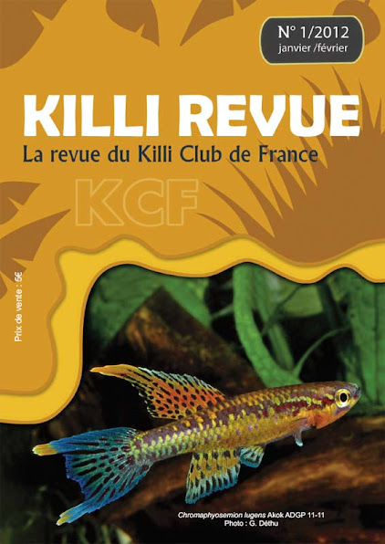 Killi Revue  KR01-2012