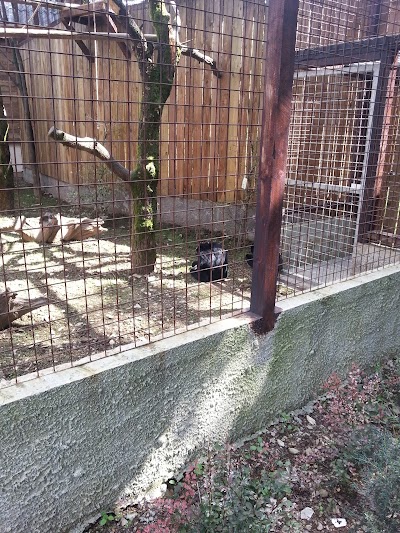 Photos of Animal Park Bouillon