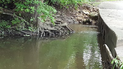 Photos of Espenscheid Memorial Forest Preserve