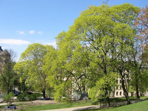 Kronobergsparken