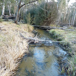 Lower end of Sawpit Creek (302932)