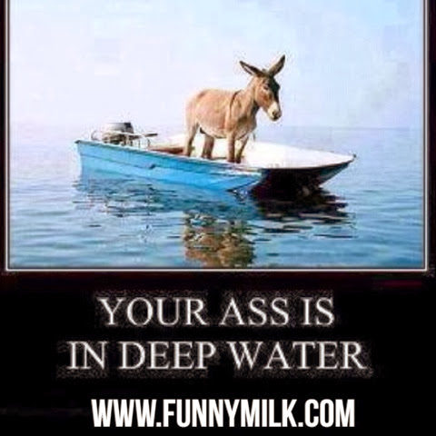 ... 10 Facebook quotes in the world -funny quotes postcards and sayings