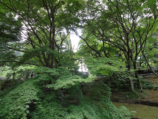 山口県立山口博物館