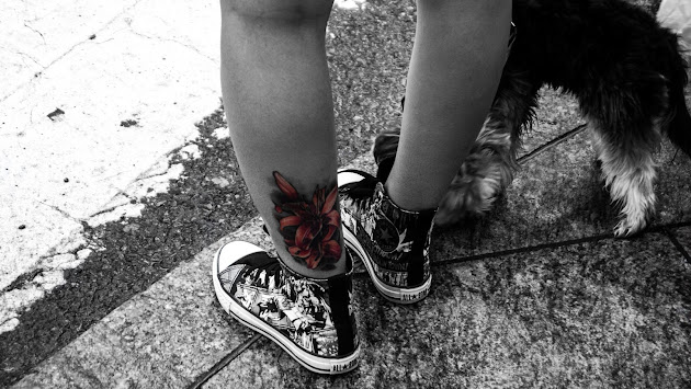 Cover photo