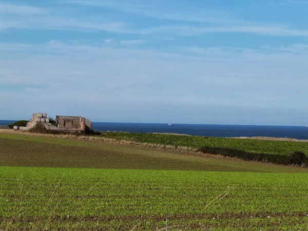 Ruins of Crankham Barn