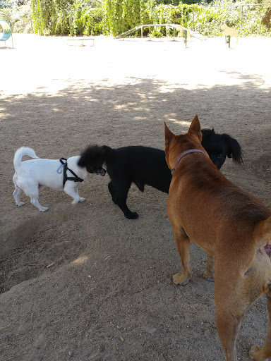 Dog Park «Hermon Dog Park», reviews and photos, 5568 Via Marisol, Los Angeles, CA 90042, USA