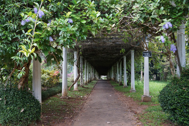 Шри-Ланка: на машине 1 100 км,  фото без комментариев, март-апрель 2013г.