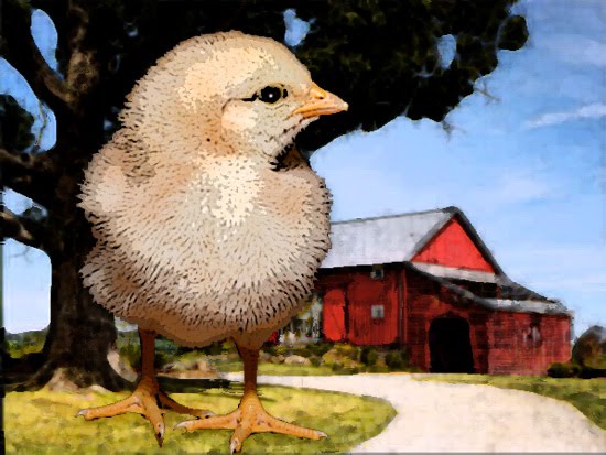 Spring Chicken by Ron Greenaway