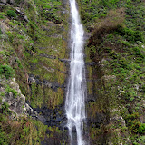 A Roadside Waterfall - Funchal, Madeira