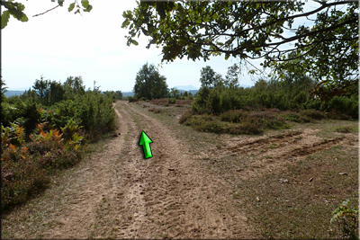 Seguimos por la pista principal