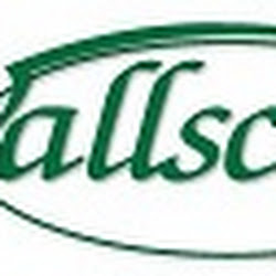 Wallscapers - logo