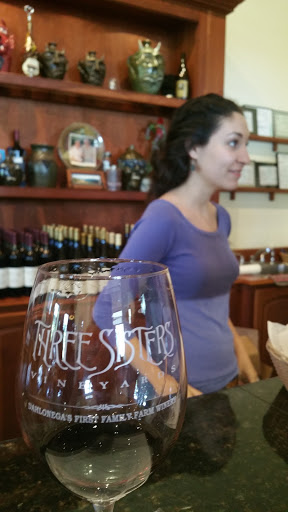 Vineyard «Three Sisters Vineyards & Winery», reviews and photos, 439 Vineyard Way, Dahlonega, GA 30533, USA