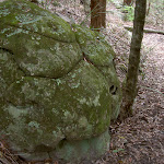 Turtle Shell Rock (22010)