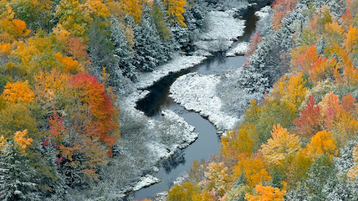 Big Carp River, Porcupine Mountains, Upper Peninsula, Michigan.jpg