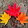 rayya adham rayya adham's profile photo