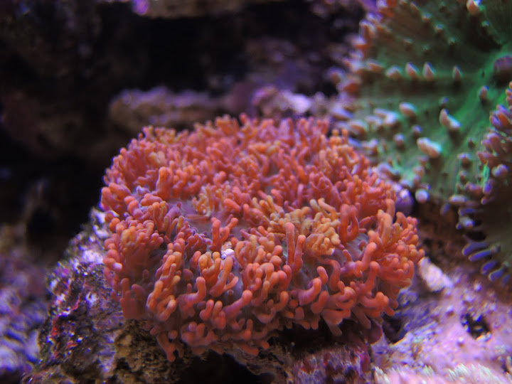 DSCN1086.JPG