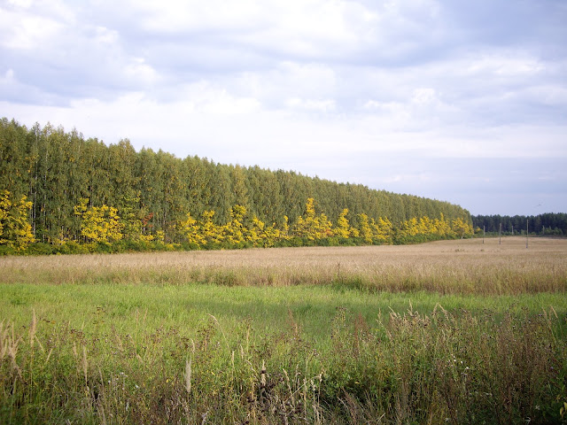 IMGP4037.JPG