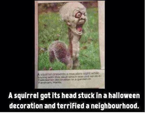 Frightful Fridays Nightmare Squirrel