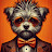 David Williams avatar image
