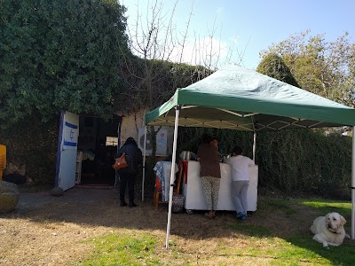 Photos of Slug - Second Hand Store
