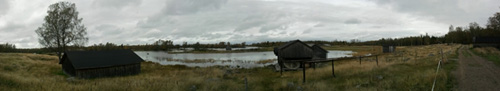 Fjällämmeln