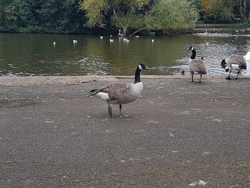 Queen's Park