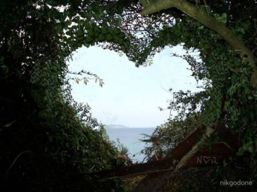  أحبكم كما الطبيعة تحبكم‎‎ Love_romantic_mood_nature_16
