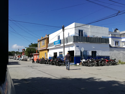 Moto Centro Adonis, Calle 19 A 7, B, Guadalupe, 24130 Cd del Carmen, Camp., México, Taller de reparación de motos | CAMP
