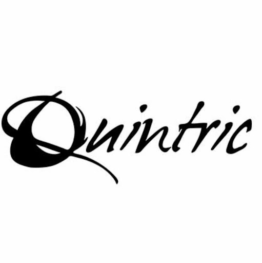 Quintric Guitares Luthier logo