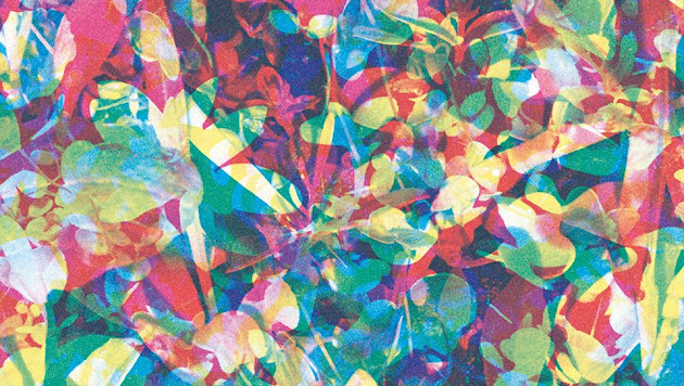 Cover photo