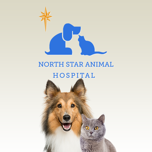 North Star Animal Hospital logo