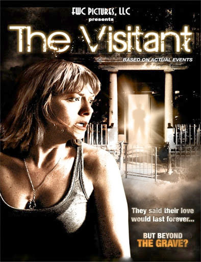 The Visitant